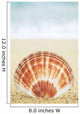 Hawaii, Oahu, Brown And White Clam Shell On Sand Wall Mural