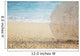 Hawaii, Oahu, Turquoise Ocean With Beautiful Coral Element On The Sand Wall Mural