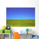 Hawaii, Oahu, Beautiful Landscape Of Green Grass And A Blue Sky Wall Mural
