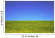 Hawaii, Oahu, Beautiful Landscape Of Green Grass And A Blue Sky Wall Mural
