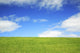 Hawaii, Oahu, Beautiful Landscape Of Green Grass And A Blue Sky Wall Mural