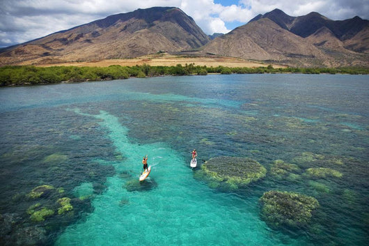Hawaii, Maui, Olowalu, Stand Up Paddling Wall Mural