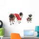 Three Pugs Dressed up Wall Mural