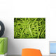 Hawaii, Oahu, Honolulu, Chinatown, Close-Up Of String Beans Wall Mural