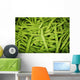 Hawaii, Oahu, Honolulu, Chinatown, Close-Up Of String Beans Wall Mural