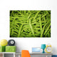 Hawaii, Oahu, Honolulu, Chinatown, Close-Up Of String Beans Wall Mural