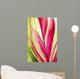 Close-Up Of A Ti Plant, Red And Green Wall Mural