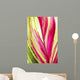 Close-Up Of A Ti Plant, Red And Green Wall Mural