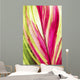 Close-Up Of A Ti Plant, Red And Green Wall Mural