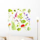 Plants White
