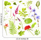 Plants White
