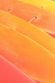 Pattern Shot Of Orange Yellow Kayaks Stacked On Each Other Wall Mural
