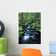 USA, Olympic National Park Wall Mural