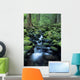 USA, Olympic National Park Wall Mural