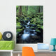 USA, Olympic National Park Wall Mural