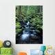 USA, Olympic National Park Wall Mural