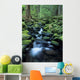 USA, Olympic National Park Wall Mural