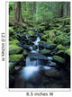 USA, Olympic National Park Wall Mural