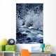 USA, Willamette National Forest Wall Mural
