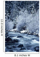 USA, Willamette National Forest Wall Mural
