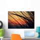 California, Colorful Sunset Through Beach Grass Wall Mural