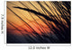 California, Colorful Sunset Through Beach Grass Wall Mural