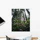 USA, Rhododendrons And Coast Redwoods In Fog Wall Mural