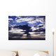 Hawaii, Late Afternoon Rain Clouds Over Ocean Horizon Wall Mural