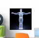 Human Body Wall Mural