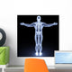Human Body Wall Mural