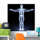 Human Body Wall Mural