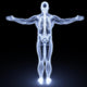 Human Body Wall Mural