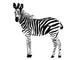 zebra Wall Decal