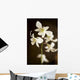 Hawaii, Kauai, White Orchid Wall Mural
