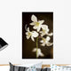 Hawaii, Kauai, White Orchid Wall Mural