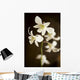 Hawaii, Kauai, White Orchid Wall Mural