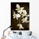 Hawaii, Kauai, White Orchid Wall Mural