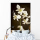 Hawaii, Kauai, White Orchid Wall Mural