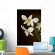 Hawaii, Kauai, White Orchid Wall Mural