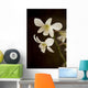 Hawaii, Kauai, White Orchid Wall Mural