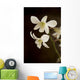 Hawaii, Kauai, White Orchid Wall Mural