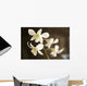 Hawaii, Kauai, White Orchid Wall Mural