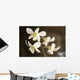 Hawaii, Kauai, White Orchid Wall Mural