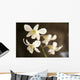 Hawaii, Kauai, White Orchid Wall Mural