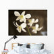 Hawaii, Kauai, White Orchid Wall Mural