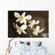 Hawaii, Kauai, White Orchid Wall Mural