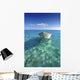 White Boat Floating On Turquoise Water Wall Mural