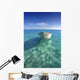 White Boat Floating On Turquoise Water Wall Mural