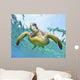 Hawaii, Green Sea Turtle An Endangered Species Wall Mural