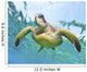 Hawaii, Green Sea Turtle An Endangered Species Wall Mural